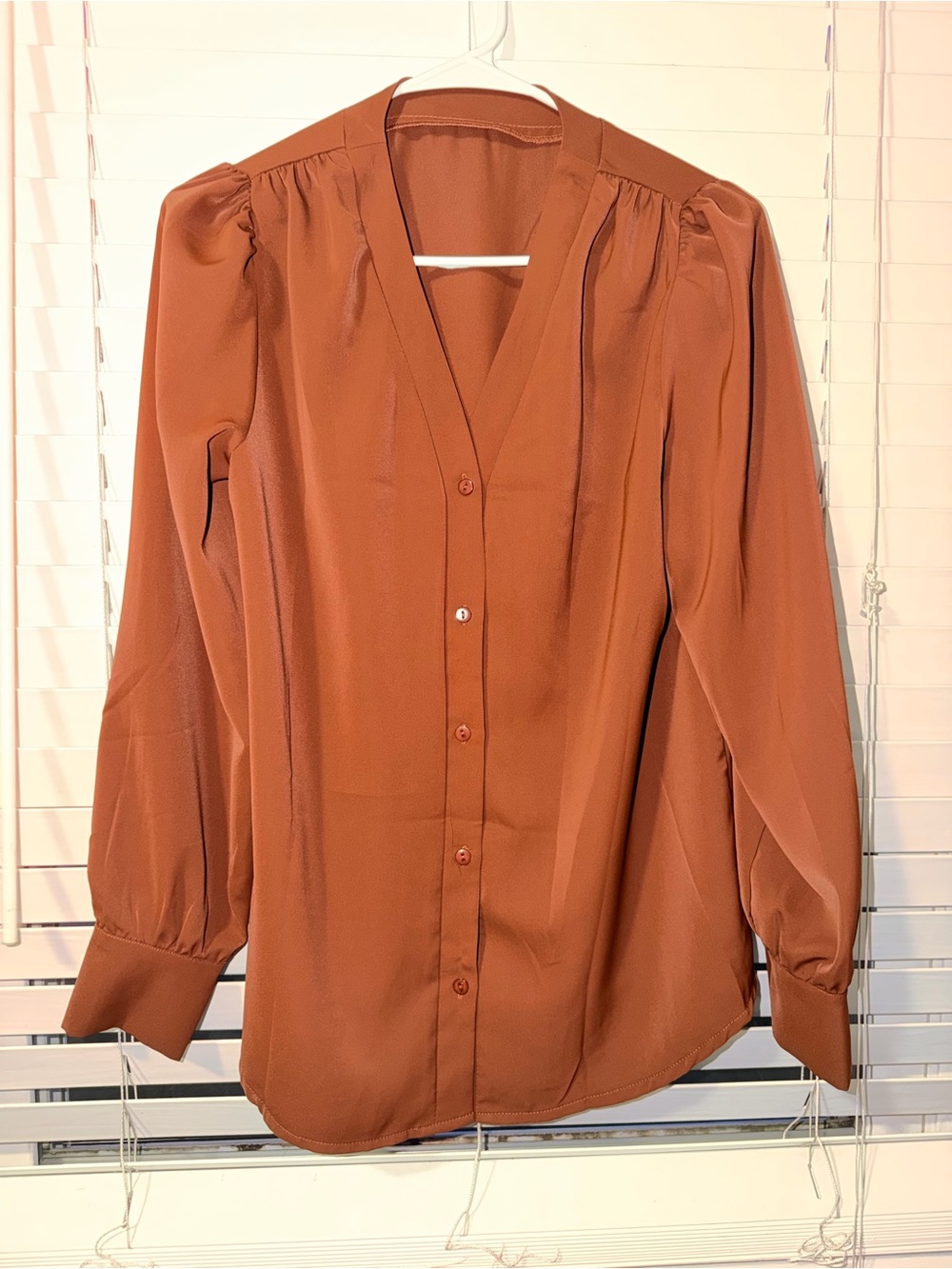 Amazon Rust Button-Down V-Neck Blouse